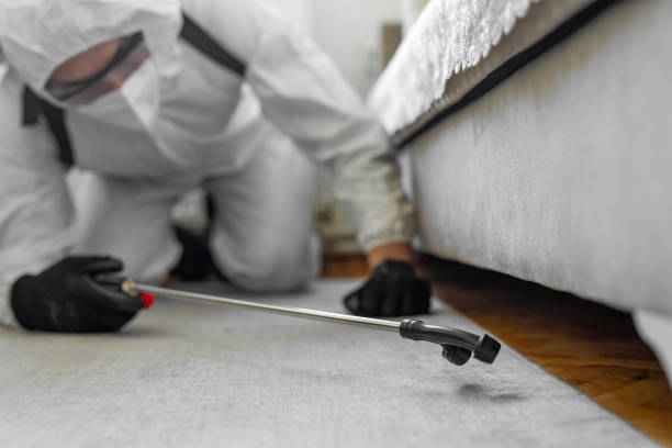 Professional Termite Control technician working in Marshallville, GA
