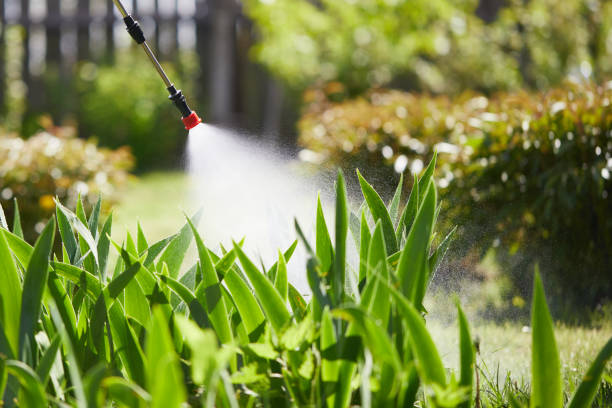 24/7 Emergency Termite Control experts in Marshallville, GA