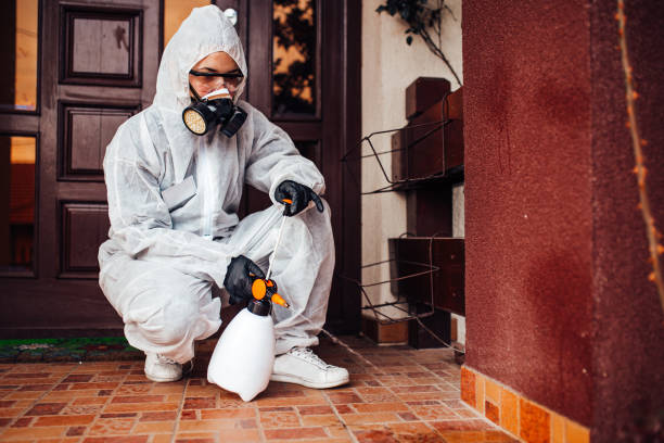 Reliable Termite Control contractor in Marshallville, GA by Nex Pest Control